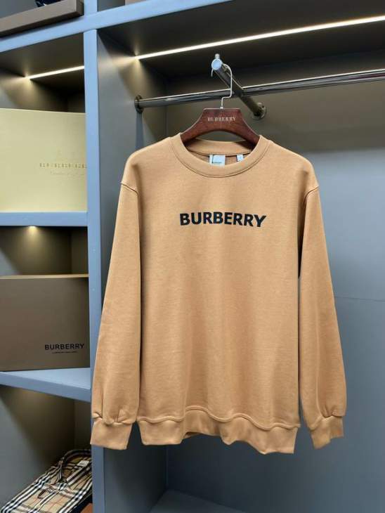Picture of Burberry Sweatshirt _SKUBurberryS-2XLaztx859830939